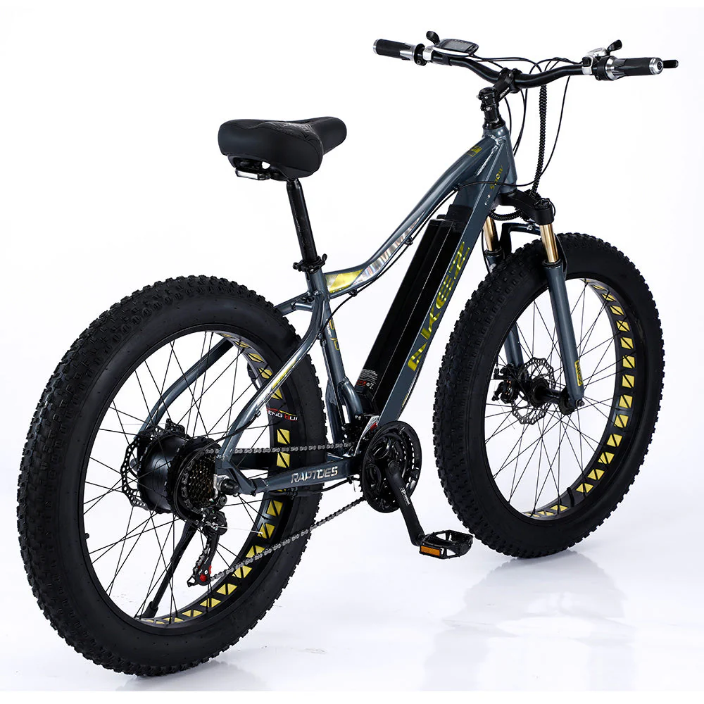 AKEZ 750W 48V ML Snow Bicycle 26-inch Beach Electric Bike Motorized eBike Battery - Image 8