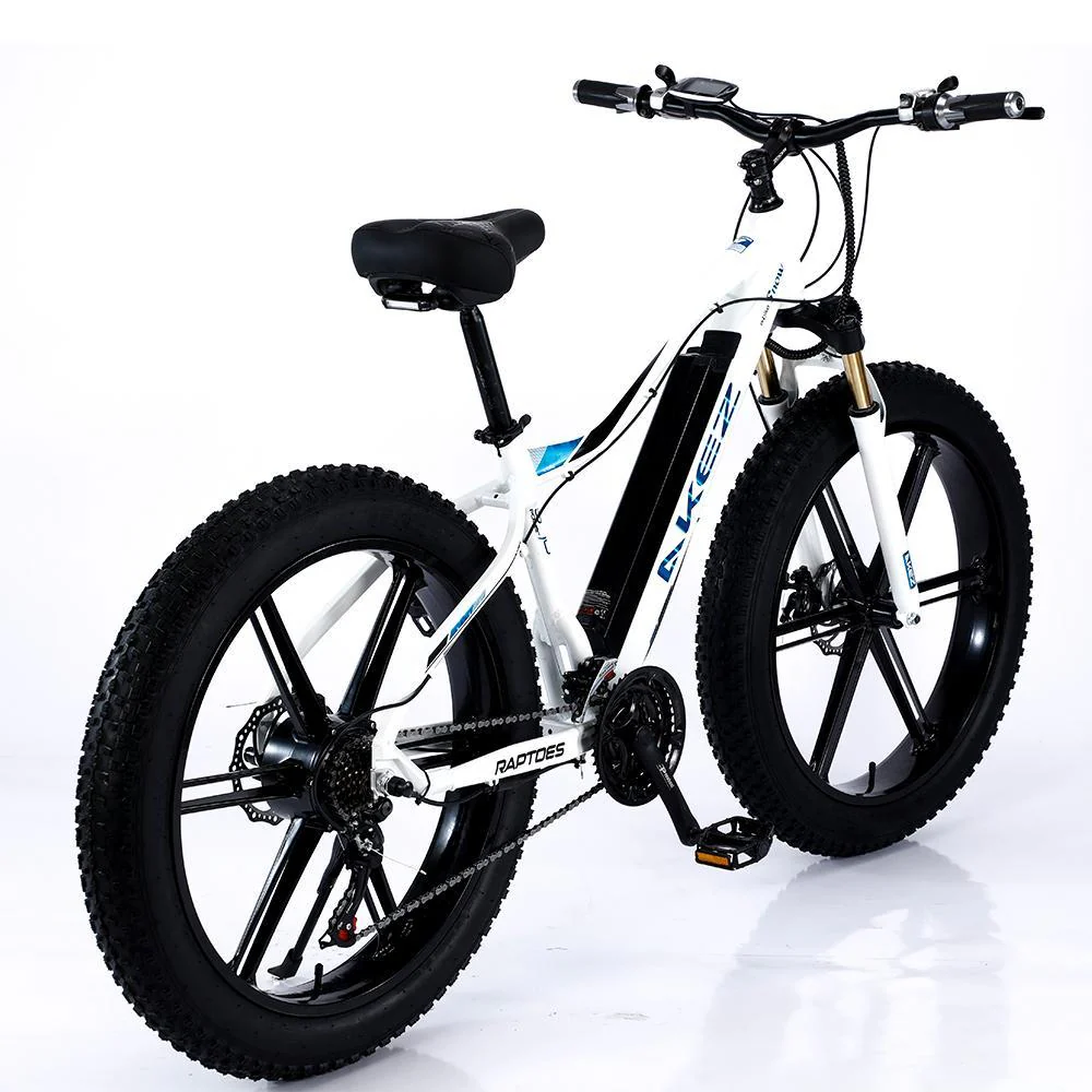 VOLTUS 750W 48V ML1P Snow Bicycle 26-inches Beach Electric Bike Motorized eBike Battery - Image 10