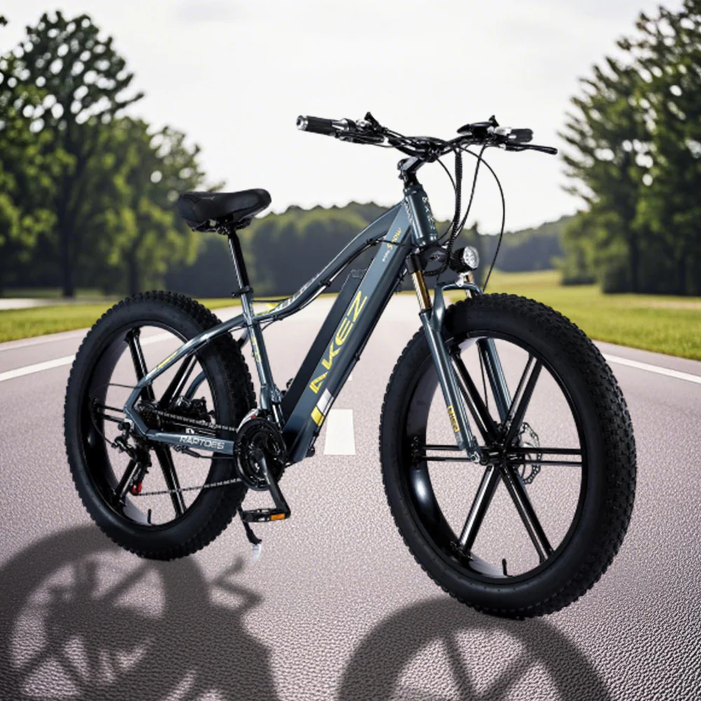 VOLTUS 750W 48V ML1P Snow Bicycle 26-inches Beach Electric Bike Motorized eBike Battery - Image 11