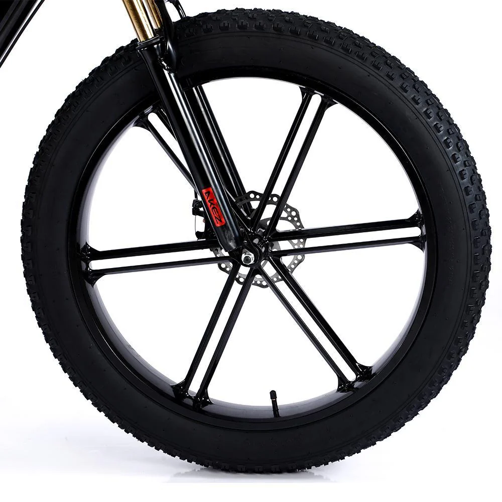 VOLTUS 750W 48V ML1P Snow Bicycle 26-inches Beach Electric Bike Motorized eBike Battery - Image 14