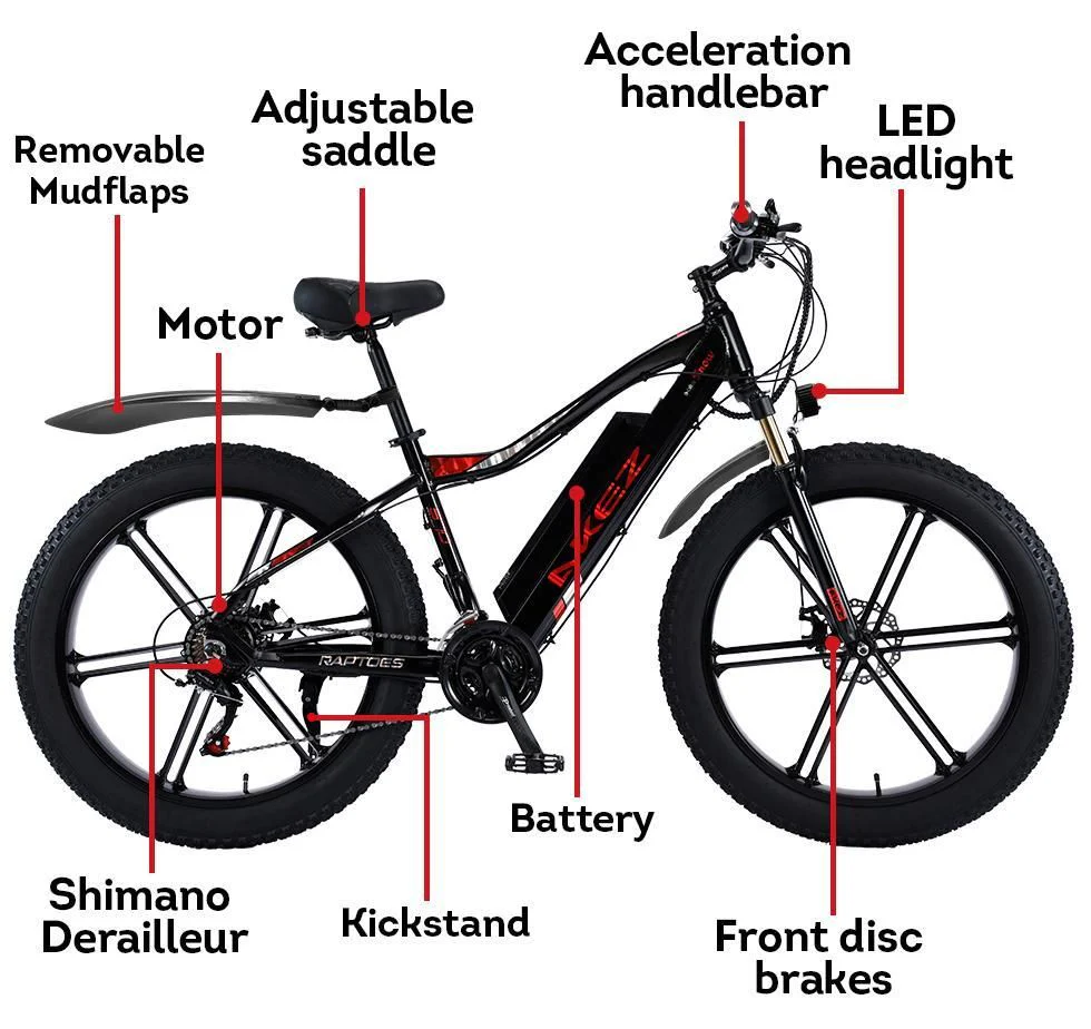 VOLTUS 750W 48V ML1P Snow Bicycle 26-inches Beach Electric Bike Motorized eBike Battery - Image 20