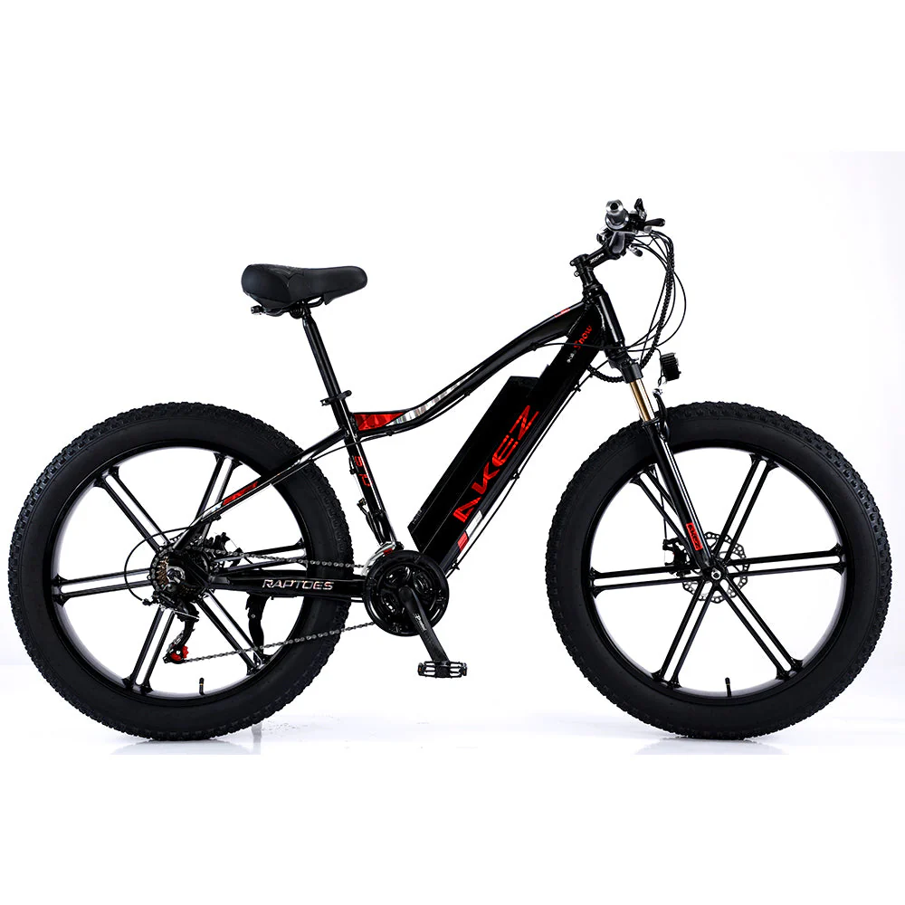VOLTUS 750W 48V ML1P Snow Bicycle 26-inches Beach Electric Bike Motorized eBike Battery - Image 22