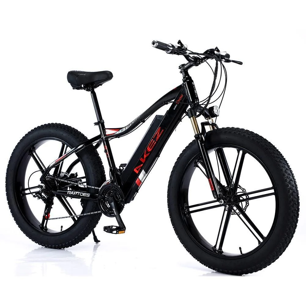 VOLTUS 750W 48V ML1P Snow Bicycle 26-inches Beach Electric Bike Motorized eBike Battery - Image 3