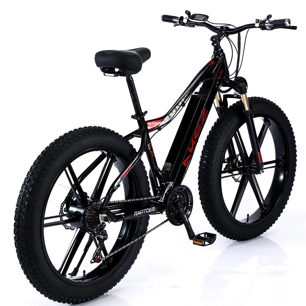 VOLTUS 750W 48V ML1P Snow Bicycle 26-inches Beach Electric Bike Motorized eBike Battery - Image 4