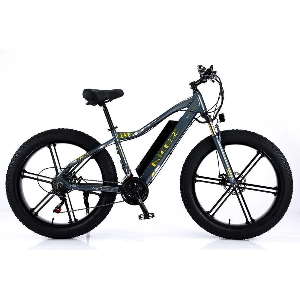VOLTUS 750W 48V ML1P Snow Bicycle 26-inches Beach Electric Bike Motorized eBike Battery - Image 5