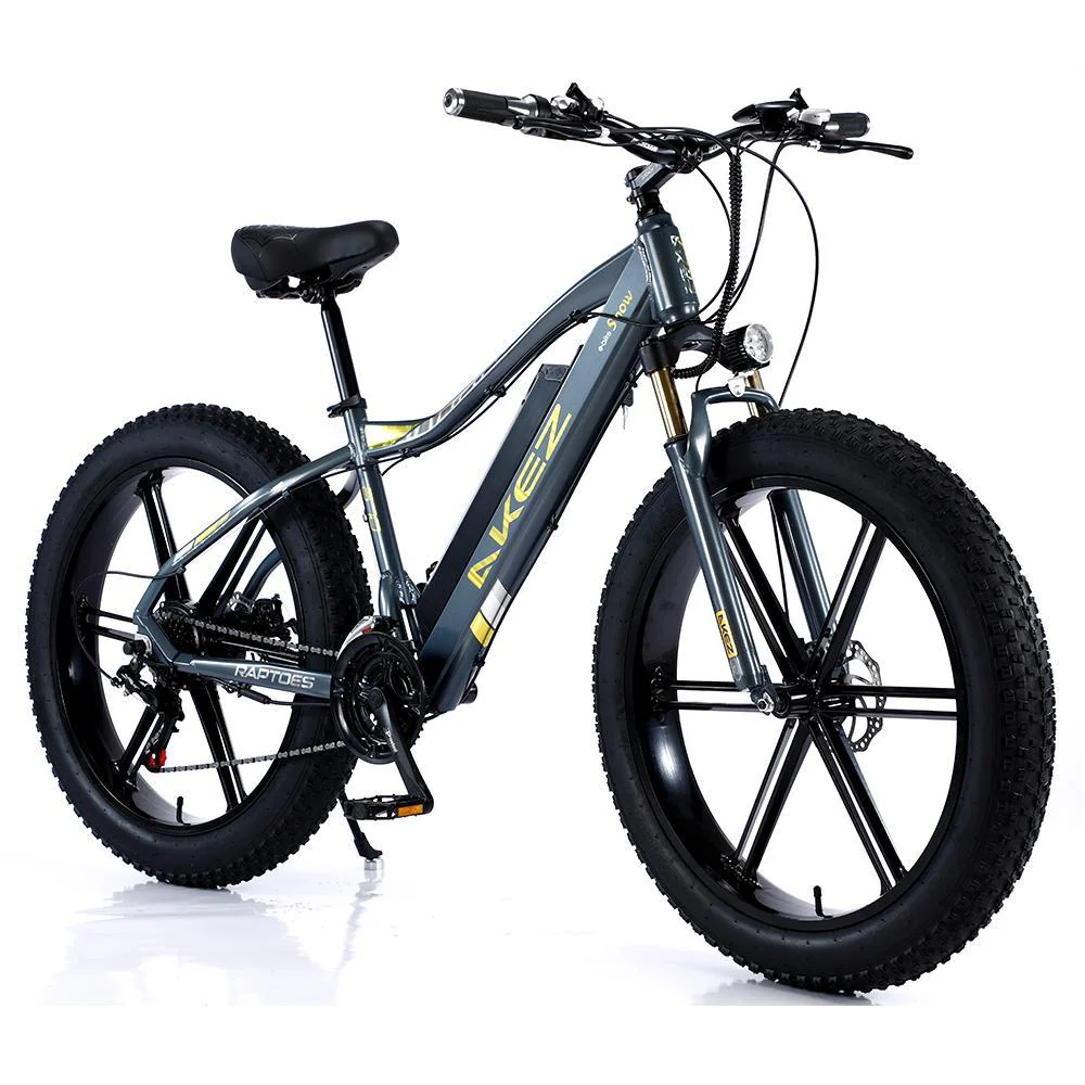 VOLTUS 750W 48V ML1P Snow Bicycle 26-inches Beach Electric Bike Motorized eBike Battery - Image 6
