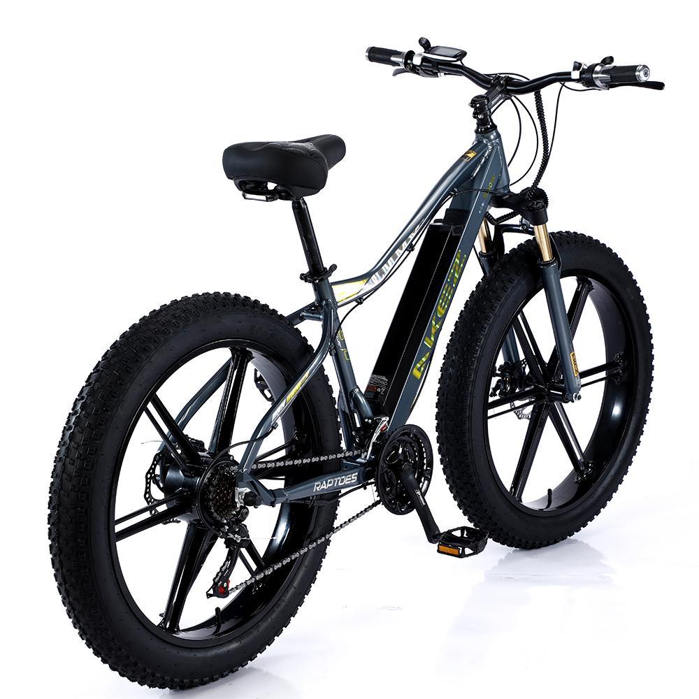 VOLTUS 750W 48V ML1P Snow Bicycle 26-inches Beach Electric Bike Motorized eBike Battery - Image 7