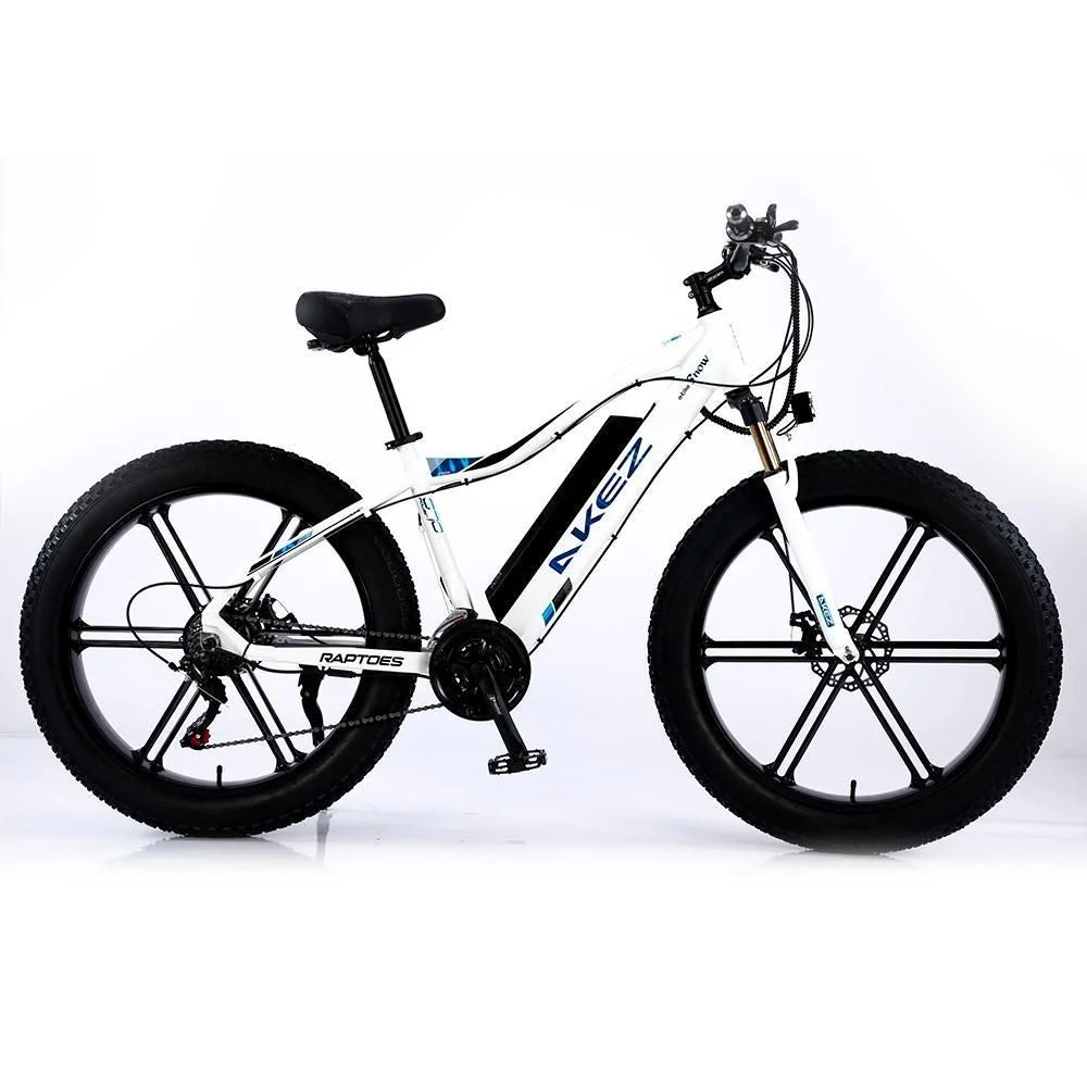 VOLTUS 750W 48V ML1P Snow Bicycle 26-inches Beach Electric Bike Motorized eBike Battery - Image 8
