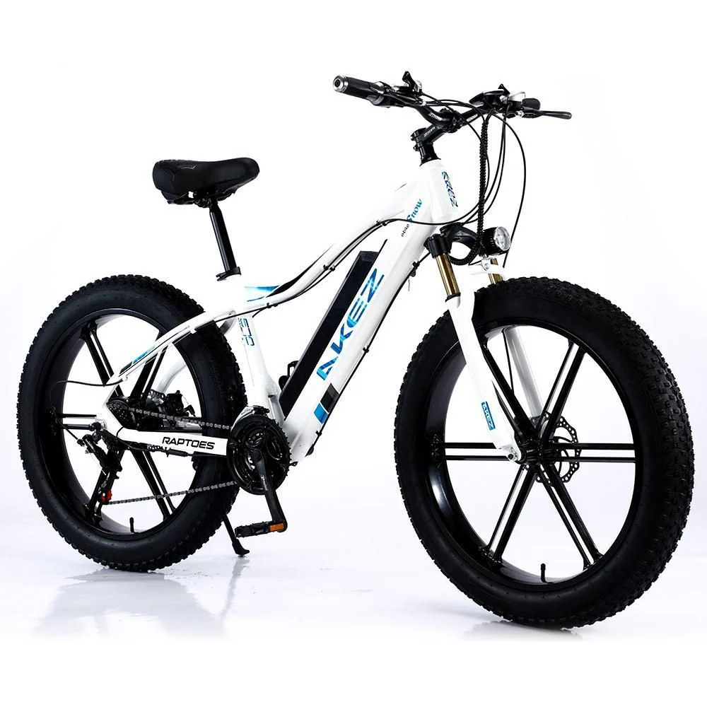 VOLTUS 750W 48V ML1P Snow Bicycle 26-inches Beach Electric Bike Motorized eBike Battery - Image 9