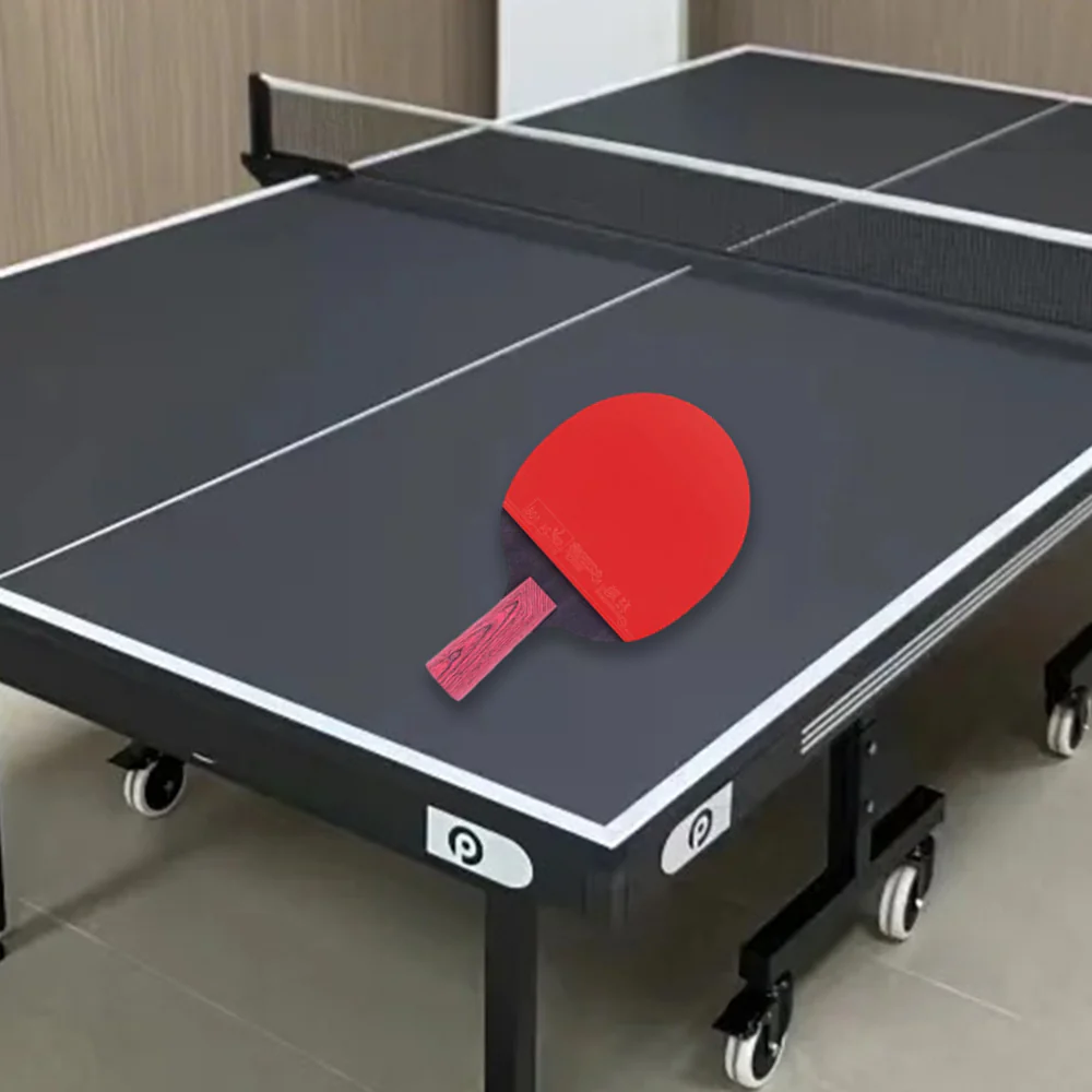 DHS Ping Pong Paddle Gift Box/Star diamond Tennis Racket - Image 3