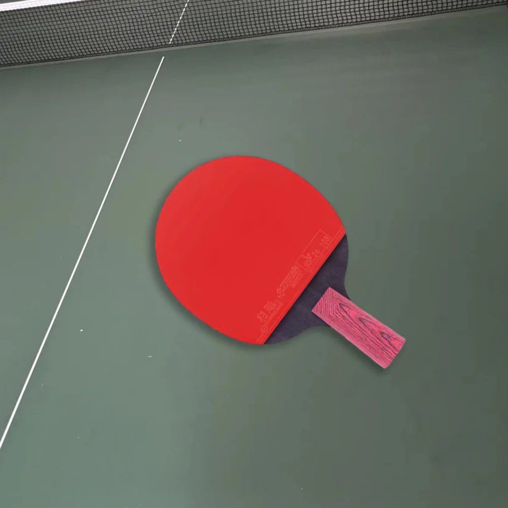 DHS Ping Pong Paddle Gift Box/Star diamond Tennis Racket - Image 4