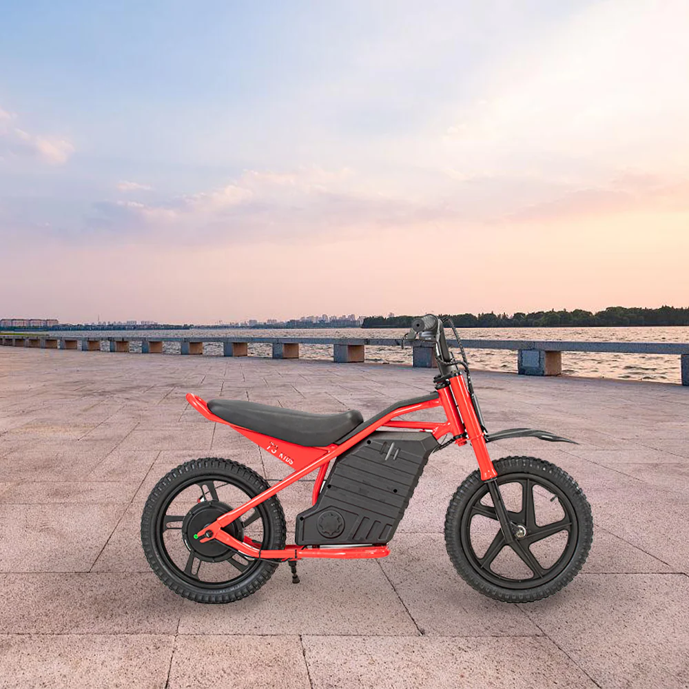 GLIDER HALLEY MY-12 350W 247V 5.2/6.0/7.8AH  Lithium Battery  Electric Motorbike/Motorcycle/Scooter Cruise at 25km/h - Unlock More Power (Details Inside)* - Image 3