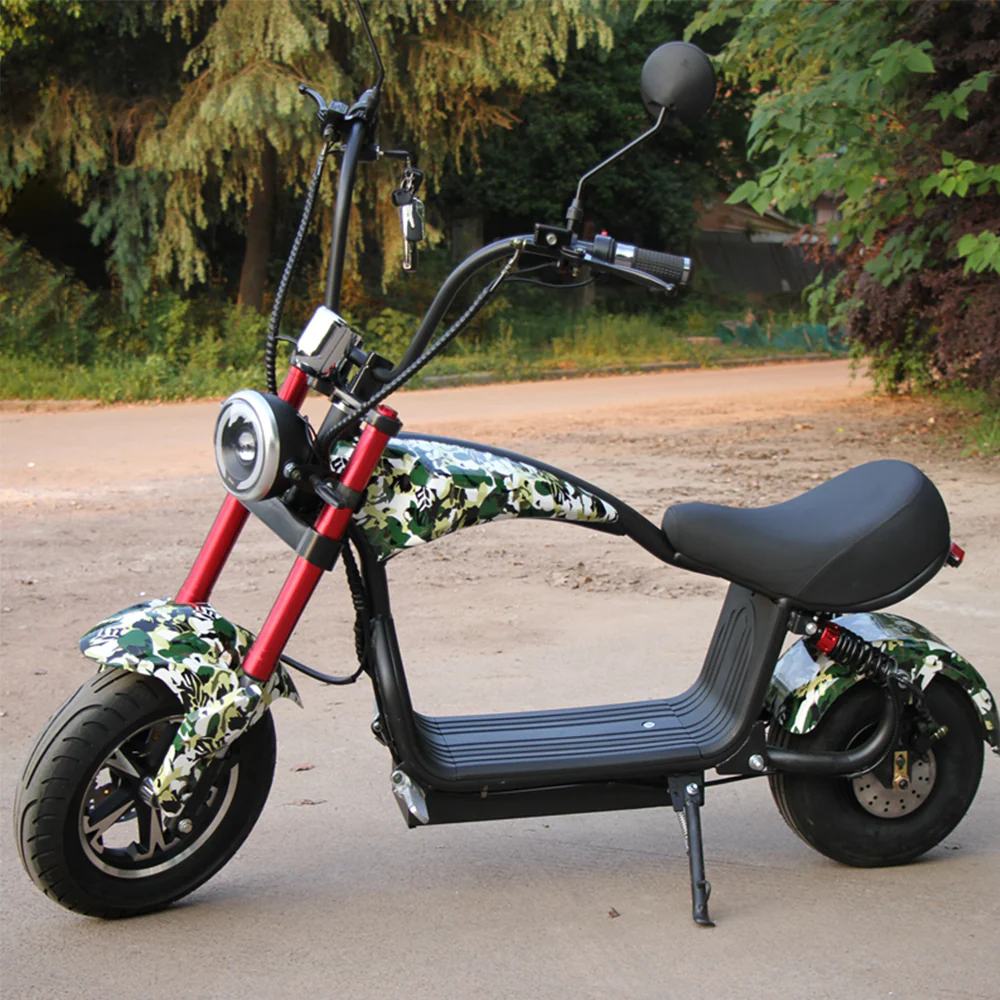 GLIDER HALLEY MY-M13 1000-1500W 48V 12-20AH  Lithium Battery Electric Motorbike/Motorcycle/Scooter Cruise at 25km/h - Unlock More Power (Details Inside)* - Image 24