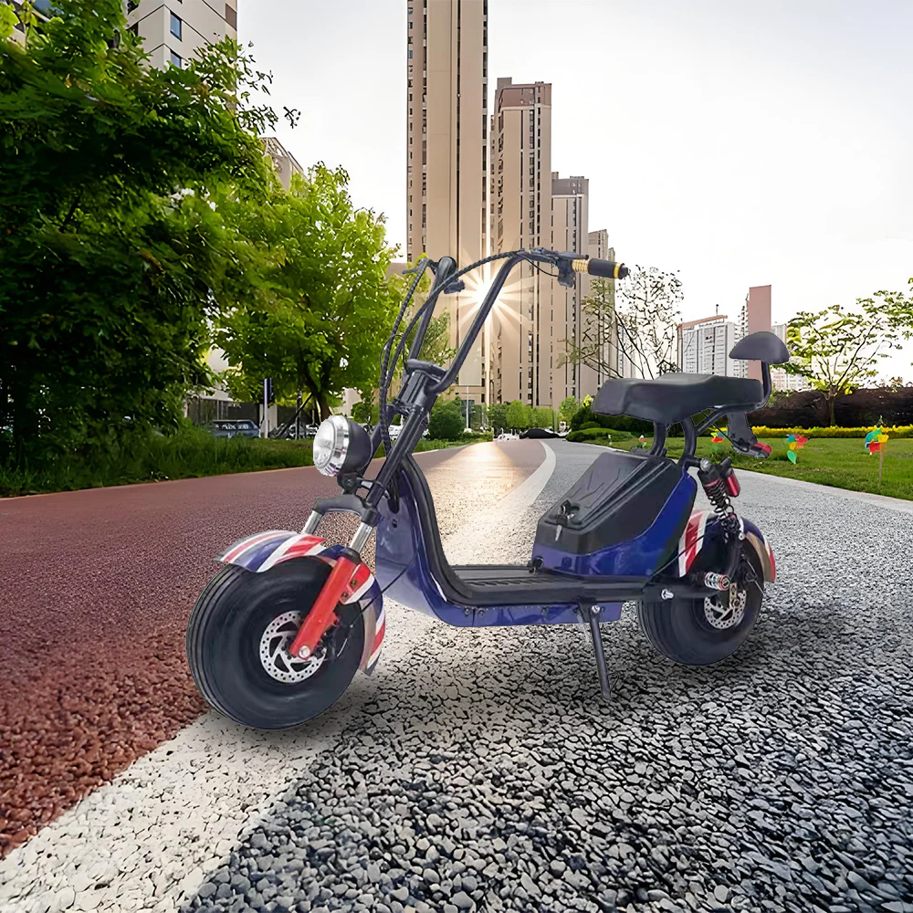 GLIDER HALLEY MY X17 1000W 48V 12-20AH  Lithium Battery Electric Motorbike/Motorcycle/Scooter Cruise at 25km/h - Unlock More Power (Details Inside)* - Image 11