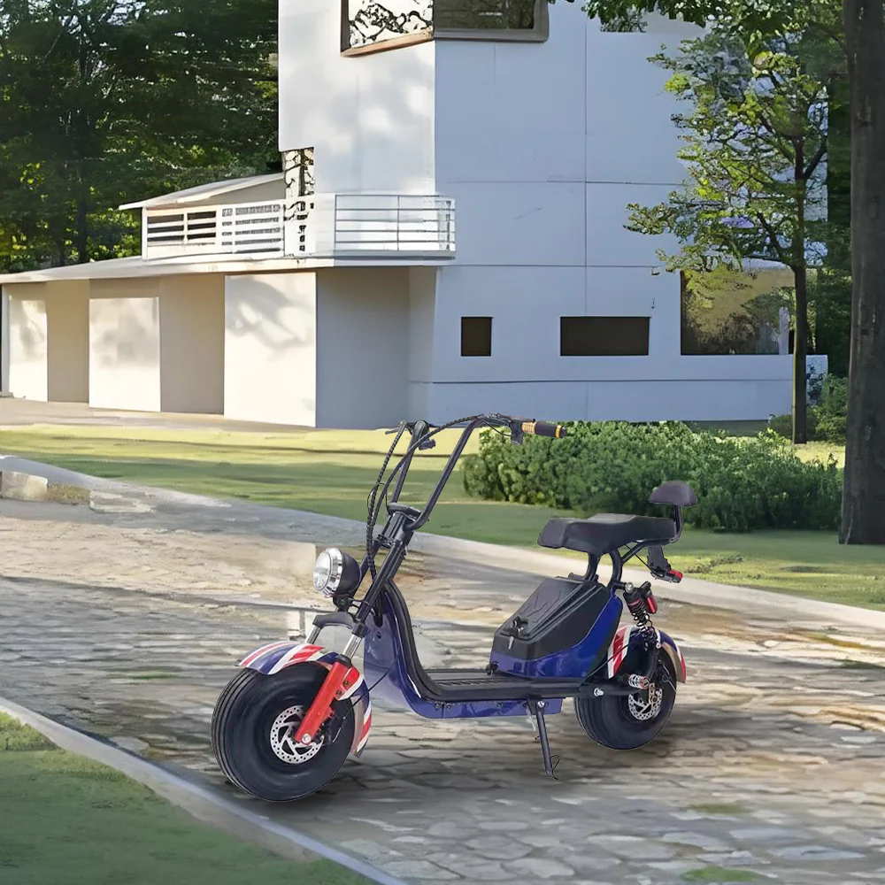 GLIDER HALLEY MY X17 1000W 48V 12-20AH  Lithium Battery Electric Motorbike/Motorcycle/Scooter Cruise at 25km/h - Unlock More Power (Details Inside)* - Image 12