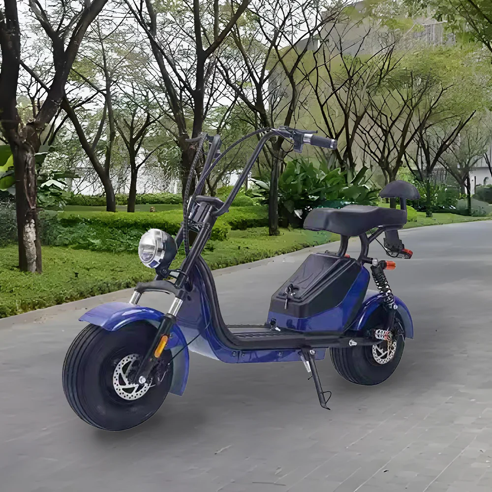 GLIDER HALLEY MY X17 1000W 48V 12-20AH  Lithium Battery Electric Motorbike/Motorcycle/Scooter Cruise at 25km/h - Unlock More Power (Details Inside)* - Image 15