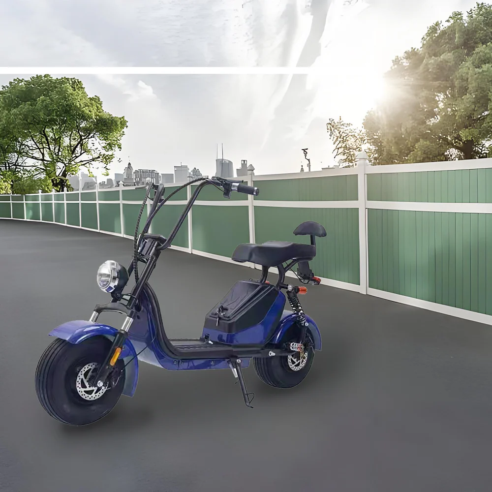 GLIDER HALLEY MY X17 1000W 48V 12-20AH  Lithium Battery Electric Motorbike/Motorcycle/Scooter Cruise at 25km/h - Unlock More Power (Details Inside)* - Image 16