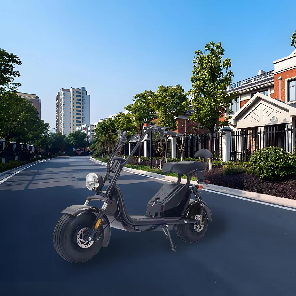 GLIDER HALLEY MY X17 1000W 48V 12-20AH  Lithium Battery Electric Motorbike/Motorcycle/Scooter Cruise at 25km/h - Unlock More Power (Details Inside)* - Image 19