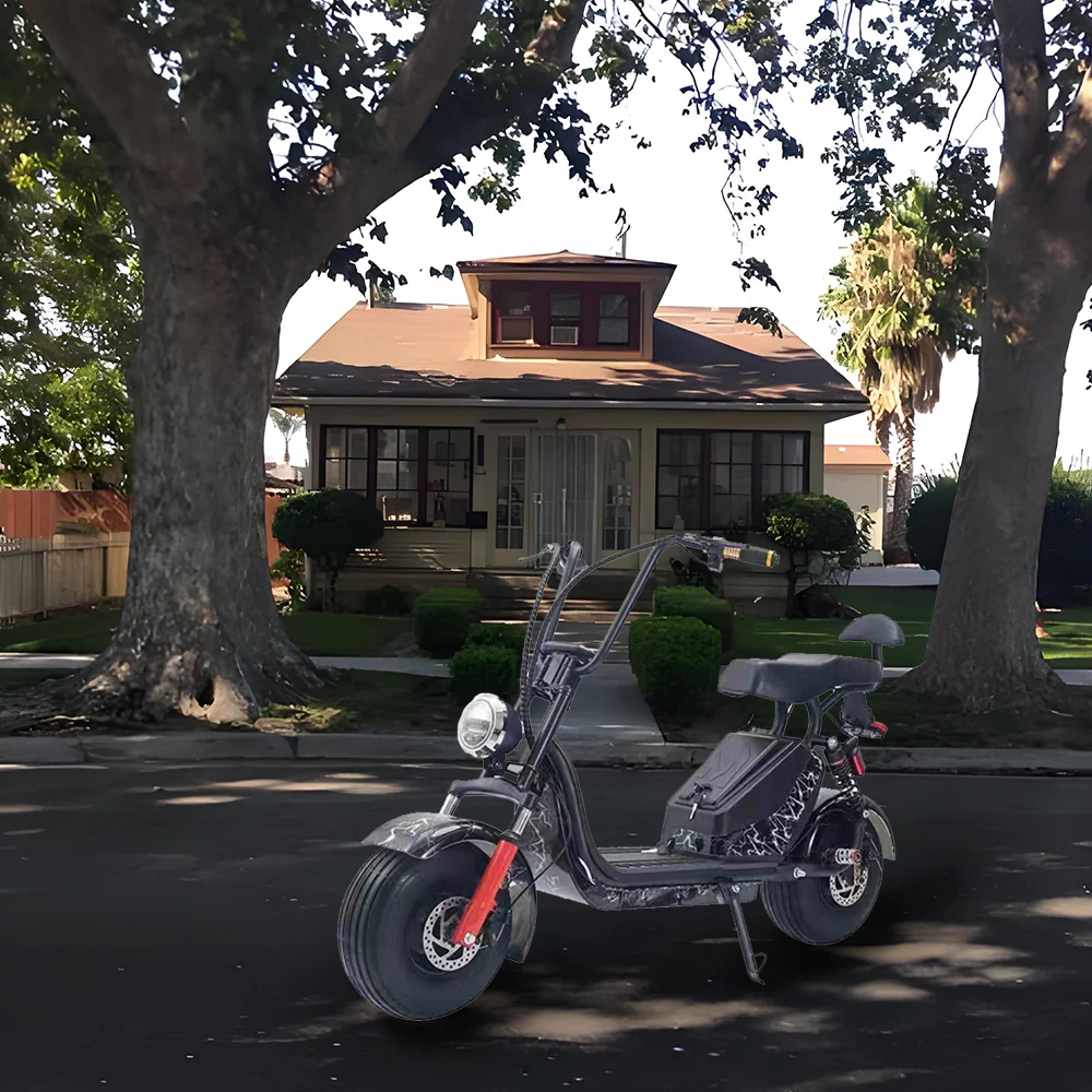 GLIDER HALLEY MY X17 1000W 48V 12-20AH  Lithium Battery Electric Motorbike/Motorcycle/Scooter Cruise at 25km/h - Unlock More Power (Details Inside)* - Image 23