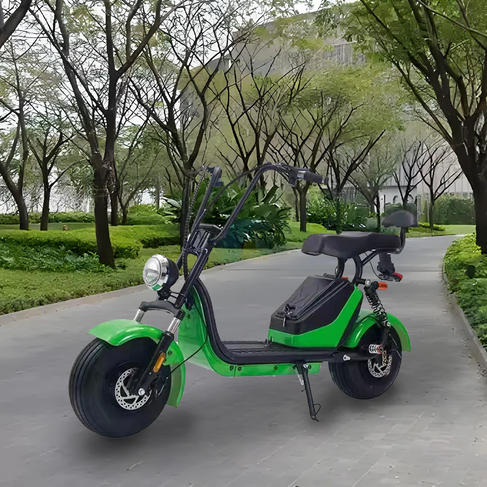GLIDER HALLEY MY X17 1000W 48V 12-20AH  Lithium Battery Electric Motorbike/Motorcycle/Scooter Cruise at 25km/h - Unlock More Power (Details Inside)* - Image 7