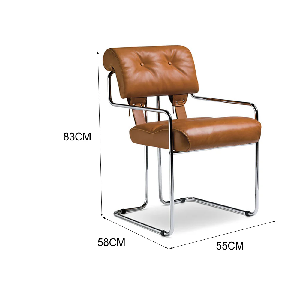 LIVARA EC1190 Black Titanium Stainless Steel Frame Leisure Chair - Brown - Image 5