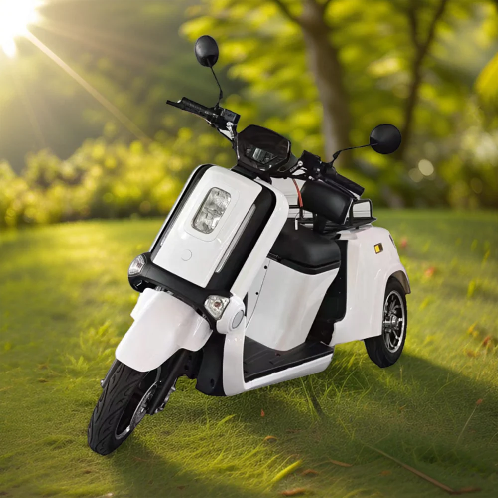 ROLLUX E2A 1000W 72V 32AH 3 Wheels Mobility Scooter 120KG Weight Capacity - Image 7