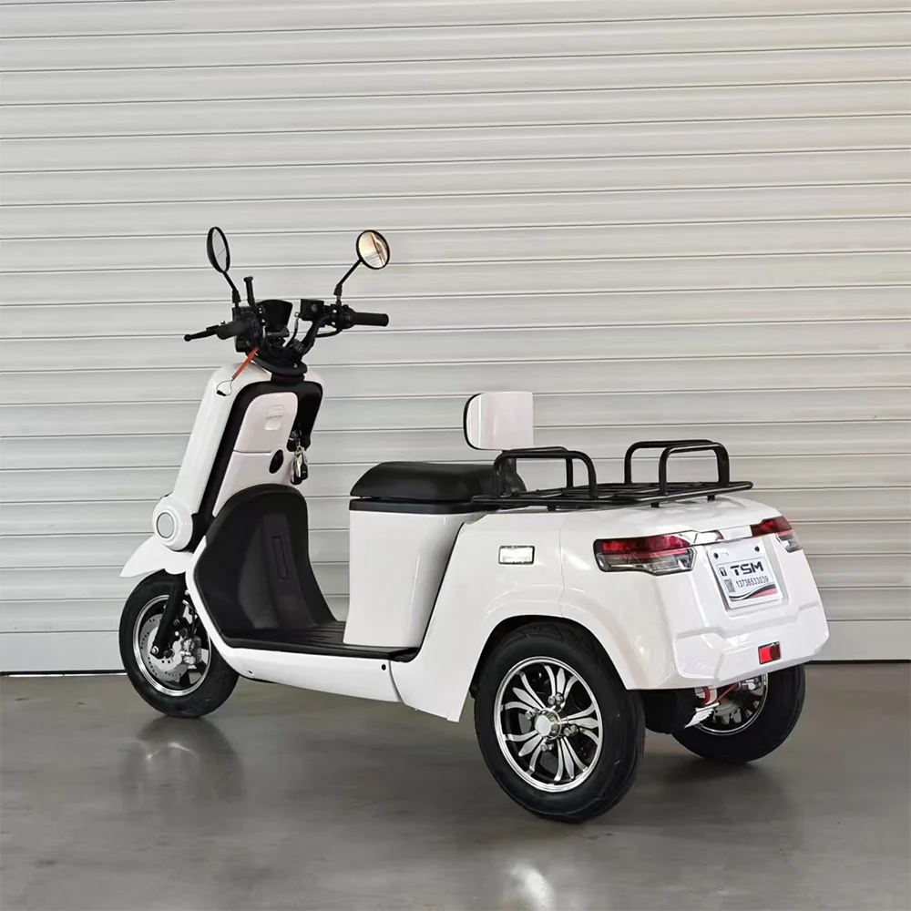 ROLLUX E2A 1000W 72V 32AH 3 Wheels Mobility Scooter 120KG Weight Capacity - Image 8