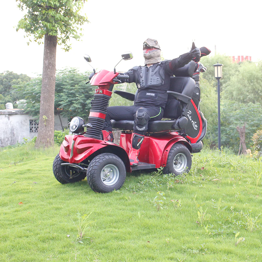 ROLLUX DJ 1000W 60V20Ah Lead-Acid/Lithium Battery Electric Mobility Scooter Drum Brake - Image 14